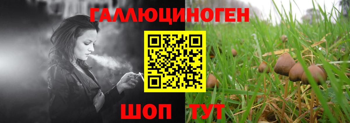 Галлюциногенные грибы Psilocybine cubensis  Вход с VPN  Партизанск  как найти закладки  Галлюциногенные грибы Cubensis 